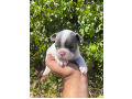 -small-2