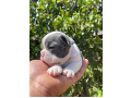 -small-0