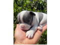 -small-3