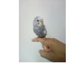 -small-0