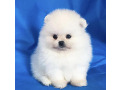-small-1