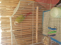 -small-2