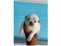 -small-1