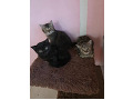3-small-7