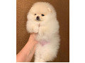 -small-2