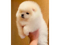 -small-1