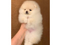 -small-1