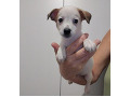 -small-1