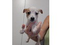 -small-3
