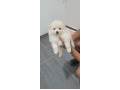 -small-0