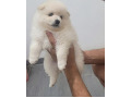 -small-0
