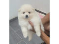 -small-0