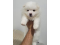 -small-0