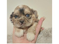 -small-1