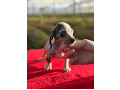 -small-3