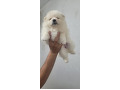 -small-0
