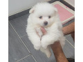 -small-0