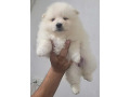 -small-0