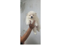 -small-0