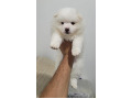 -small-0