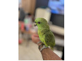 -small-1