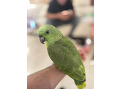 -small-0
