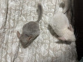 300ns-small-2
