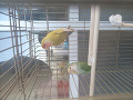 -small-2
