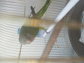 -small-2