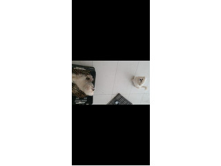 הכי זול בארץ