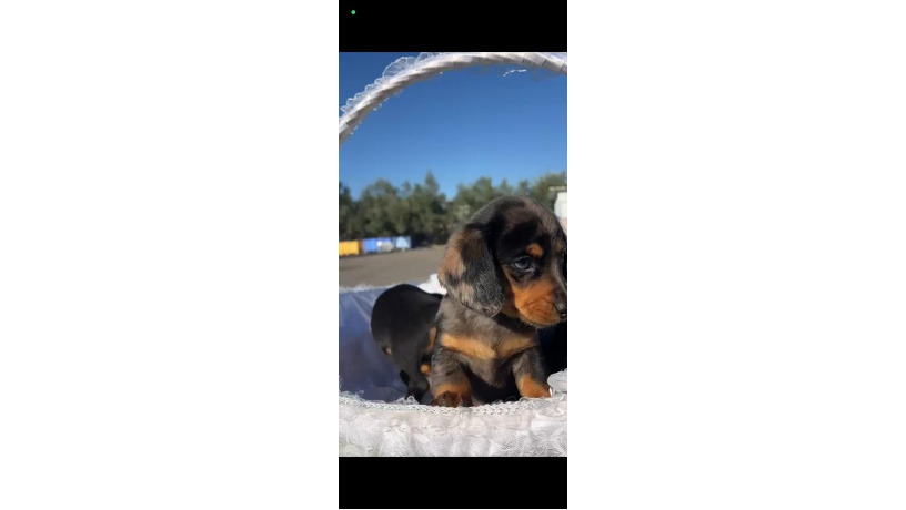 -big-10