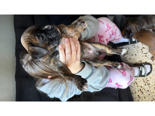 הכי יפים בארץ אמא ואבא