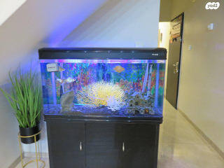 אקווריום יוקרתי במצב חדש!
אקווריום איכות...