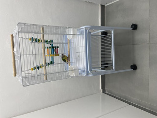 קוניור גרינציק האכלת יד מוטבע