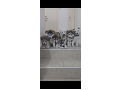 -small-4