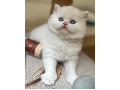 -small-2