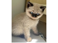 -small-10