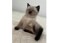 -small-9