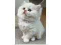 -small-6