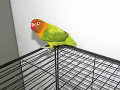 -small-2