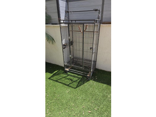 תוכים ובעלי כנף אביזרים בגן יבנה