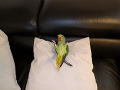-small-7