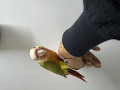 -small-0