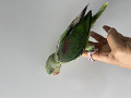 -small-1