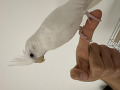 -small-2