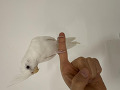 -small-1