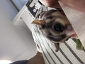 -small-2