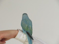 -small-5