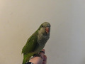 -small-0