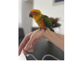 -small-1